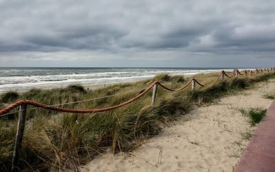 Blogs en nieuws 12 Time Out Herfstvakantie 2020